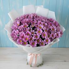Букет цветов из:  Хризантемы в Верхнеуральске