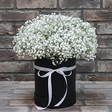 Цветочная композиция из Гипсофила в шляпной коробке в Верхнеуральске
